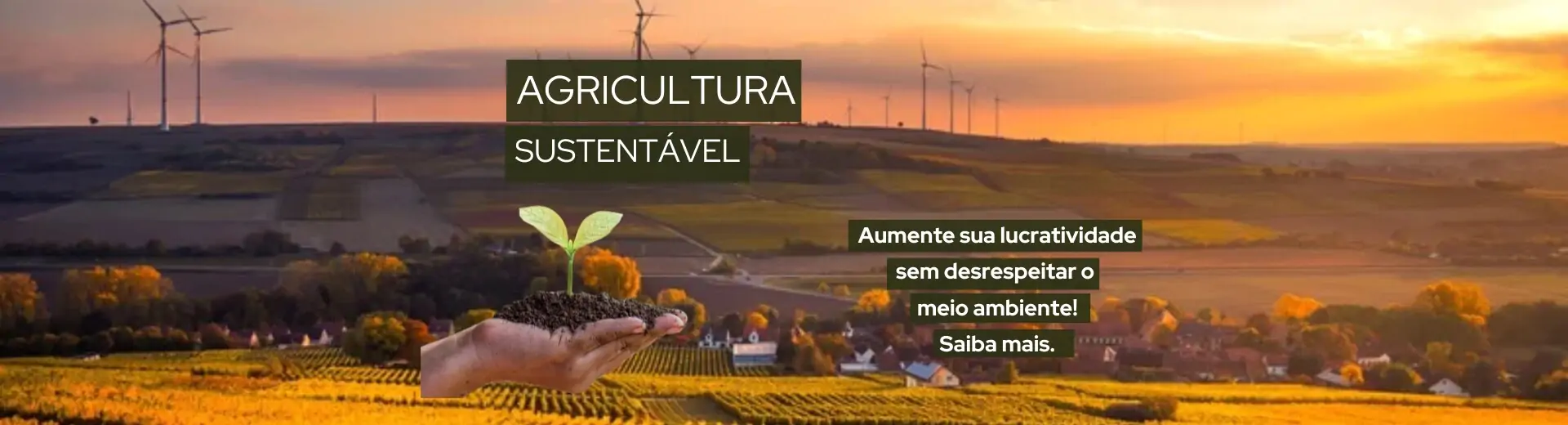 agricultura_sustentavel